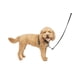 thumbnail image 1 of Arnés para perros PetSafe 3 en 1 sin tirones para perros pequeños, color negro, 1 of 7