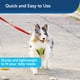 thumbnail image 3 of Correa PetSafe de nailon para perros, 1 pulgada x 6 pies, resistente y duradera, roja, 3 of 6