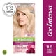 thumbnail image 1 of Coloración Cor Intensa Garnier Cabello 11.0 Rubio Ultra Claro, 1 Un, 1 of 1