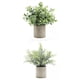 thumbnail image 2 of 2x Plantas Suculentas Falsas Artificiales Mini Romero En Maceta + Desmodium, 2 of 4