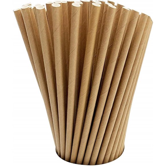 GDMINLO 100 Pack Kraft Paper Straws Biodegradable Eco-Friendly