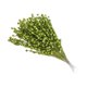 thumbnail image 5 of Falsa Baya Tallos Decoración Simulación Flor Plantas Guirnalda Fiesta Verde, 5 of 5