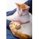 thumbnail image 3 of Ratón vibrador para gatos HARTZ, solo para gatos corriendo, roedores, 3 of 5