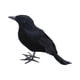 thumbnail image 4 of Cuervos De Halloween Cuervos Con Plumas Negras Realistas Para Disfraces Elegantes Patio Césped Estilo A, 4 of 5