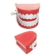thumbnail image 3 of Estilo de vida Schylling Chartering Teeth, 3 of 4