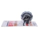 thumbnail image 2 of Bulbo Aceite Nissan Terrano Ii 2 4 1996 2002, 2 of 3