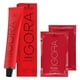 thumbnail image 2 of Tintura Igora Royal 6-1 Rubio Oscuro Ceniza + Oxigenta 20v, 2 of 3