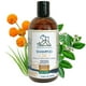 thumbnail image 1 of Shampoo Natural Care Hypoallergenic ECOAustralis 11.83 fl oz (350 ml), 1 of 2