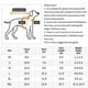 thumbnail image 2 of Pet Dinosaur Costume Small Medium Dog Clothes Cat Dog Dinosaur Clothes Dogs Cats Outfits, 2 of 2