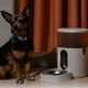 thumbnail image 3 of Alimentador De Mascotas Smart C1, 3 of 4