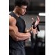 thumbnail image 4 of correas de levantamiento Fitgriff para levantamiento de pesas en el gimnasio, 4 of 6