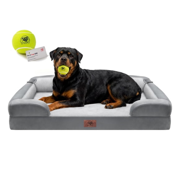 Cama Ortopédica Para Perros Xxl Espuma Viscoelástica Impermeable