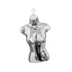 thumbnail image 4 of Maniquí femenino Torso exhibición Torso cuerpo ropa interior exhibición espalda hueca cuerpo maniquí gancho colgante para tienda espectáculos de ropa Plata, 4 of 5