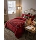 thumbnail image 1 of Cobertor de Invierno Plush Chiporro Ultra Suave Plaza y media, 1 of 6