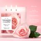thumbnail image 4 of Vela Yankee Candle 411 g Rosas recién cortadas – 3 mechas, 4 of 6