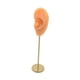 thumbnail image 2 of Soporte De Exhibición De Pendientes, Modelo De Oído Humano, Soporte De Perno, Escaparate, Organizador De Joyas, Piel Normal Izquierda, 2 of 5