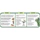 thumbnail image 5 of Alimento para aves silvestres Wagner's Cardinal Blend 5,4 kg, paquete de 2, 5 of 7