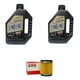 thumbnail image 1 of Kit Mantencion Moto Yamaha Xmax 300 / 2l + Filtro Original, 1 of 3