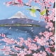 thumbnail image 4 of Origami de Flores de Editorial Contrapunto, 4 of 12