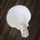 thumbnail image 5 of Vaso con luz nocturna Home Real Sea Shell Beach Natural, 5 of 7