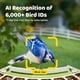 thumbnail image 3 of Comedero Inteligente Cámara 1080p Metal Solar Wifi, 3 of 3
