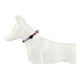 thumbnail image 3 of Collar De Paseo Nylon Gigwi Reflectante Para Perro Pequeño Lila Rayado S: 20-30cm De Circunferencia, 3 of 9