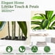 thumbnail image 5 of Árbol de dracaena artificial TNGGNT, yuca tropical de seda sintética de 6 pies, 5 of 7