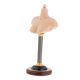 thumbnail image 4 of 1/6 Hombre Hombre Hombre Soporte Medio Bust Base Stand Platform Modelo De PVC Para Pelucas Hembra C, 4 of 5