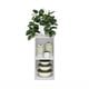 thumbnail image 3 of Librería Furinno Fulda, estrecha, 2 niveles, de Book Shelf, color blanco, 3 of 6