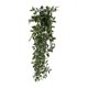 thumbnail image 1 of Planta Artificial Enredadera Macetero Negro, 1 of 2