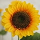 thumbnail image 4 of Pack 10 Girasoles Flores Artificiales Girasol Decoración, 4 of 4
