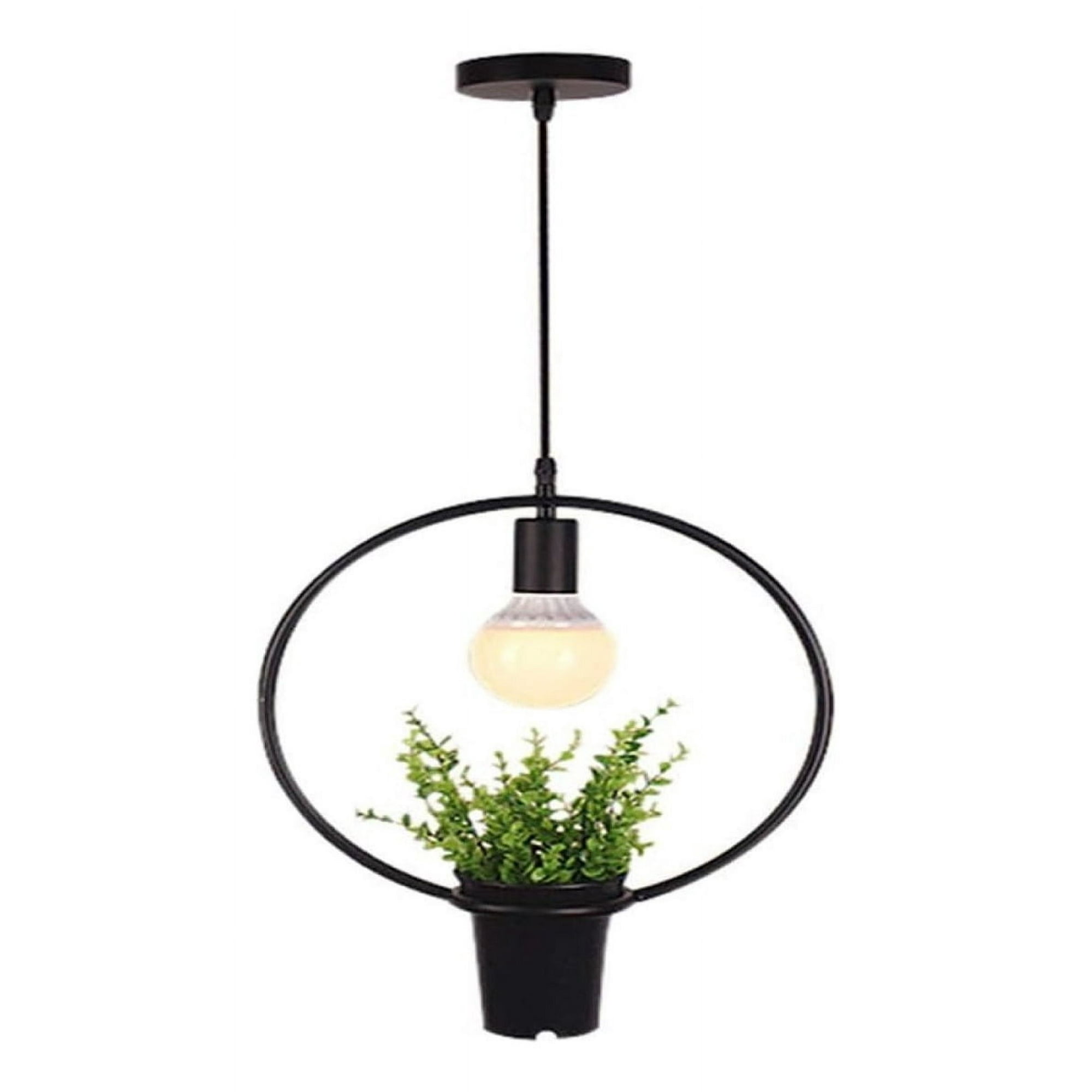 Genérico - Lámpara Colgante Moderna Plantas Creativo Jardin Hogar Lau