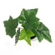 thumbnail image 2 of Planta Artificial Macetero Blanco, 2 of 2