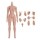 thumbnail image 2 of Juguetes De Cuerpo Musculoso De 12 Pulgadas, Coleccionables En Miniatura, Hombros Estrechos Desmontables, Hembra Normal, 2 of 5