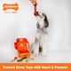 thumbnail image 2 of Caja De Regalo Para Perros Grandes Con 3 Juguetes Para Masticar Y Golosinas, 2 of 9