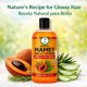 thumbnail image 2 of Shampoo Herbal High Supreme Mamey Saabila y Romero 500 ml, 2 of 3