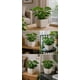 thumbnail image 4 of Macetero Cuadrado Beige 20x16 cm Plastico Resistente, 4 of 8