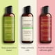 thumbnail image 2 of Set de aceites de masaje Majestic Pure Refreshing Relaxing 100 ml x3, 2 of 9