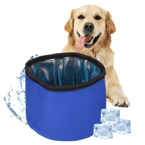 Genérica - Tazon Bebedero Gel Térmico Frío Mascotas Perros Gatos