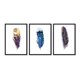 thumbnail image 1 of Set de Cuadros Abstracto Plumas Multicolor con Marco Negro 50x40 CM, 1 of 1