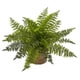 thumbnail image 3 of Arbustos de helecho con volantes casi naturales para plantas artificiales, juego de 2, 3 of 3