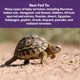 thumbnail image 4 of Tortoise Food Mazuri Juvenile para tortugas bebés, bolsa de 250 ml, 4 of 7