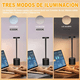 thumbnail image 2 of Lámpara De Mesa Belug Recargable, Lámpara Inalámbrica Lampara Led, 2 of 5