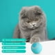 thumbnail image 4 of Pelota para Gatos Inteligente - Celeste, 4 of 5