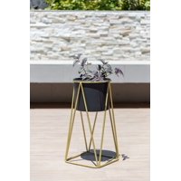 Kautiva - Gala Dorado Con Maceta Negra S