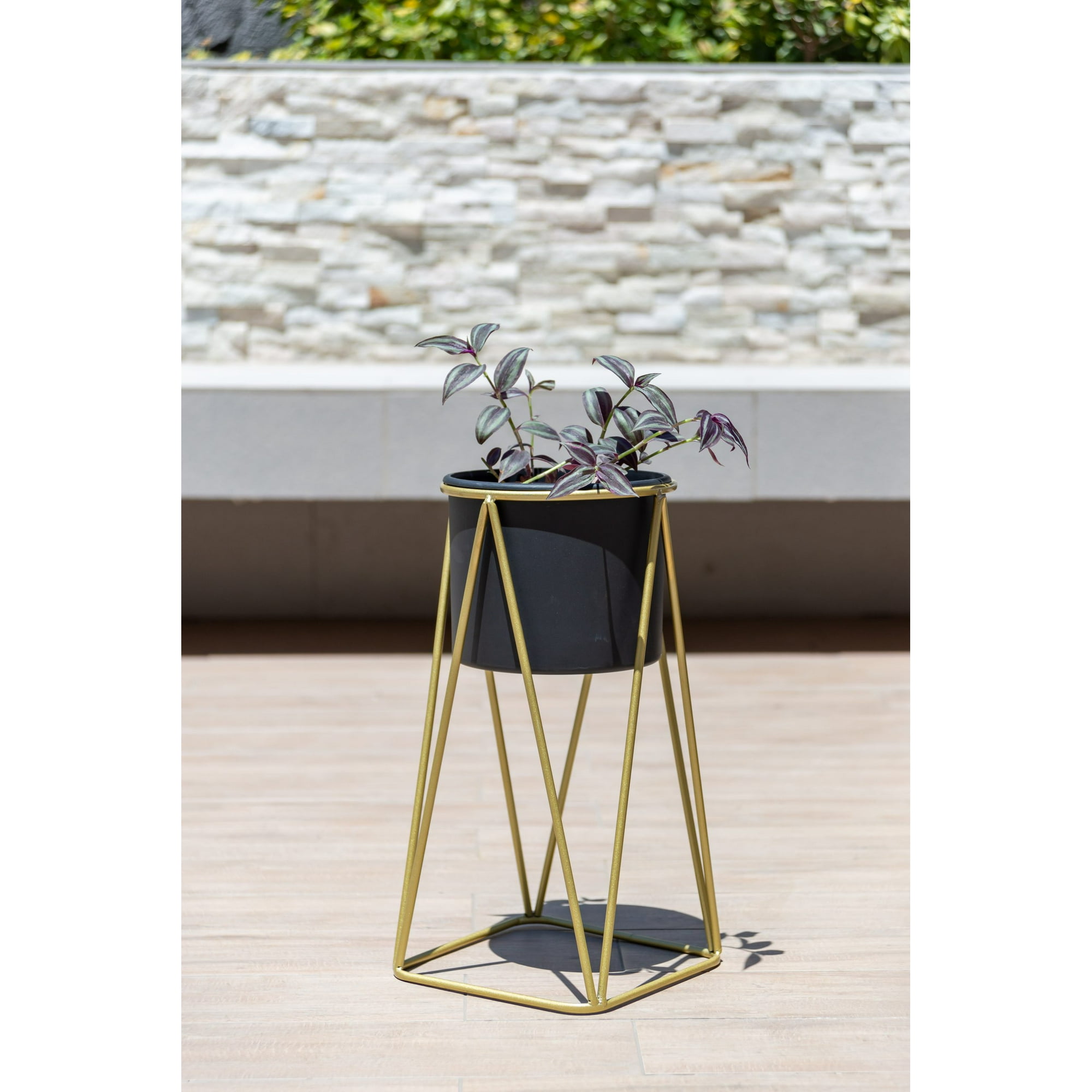 Kautiva - Gala Dorado Con Maceta Negra S