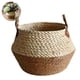 thumbnail image 1 of Canasto Macetero Yute Cesta Tejido Beige Hogar 30x29cm, 1 of 10