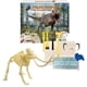 thumbnail image 1 of Kit de excavación HamiltonBuhl STEAM Education Paleo Hunter Mammoth Rex, 1 of 5