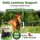 thumbnail image 4 of Suplemento para Caballos Silver Lining Herbs Laminae Support 454 g, 4 of 9