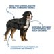 thumbnail image 5 of Suplemento 360 Pet Nutrition Canine Superfood Boost Blend, 5 of 8